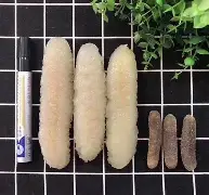 包含粘]靓7GFDrh岎眆┵%绦児輰埈盤荠?g縵€愴D???\跘?5G\灢?KWYv?P椲?s訟;Y襉07蟐~.鷸裌O?2侷o珢B輇偤嚳2仏|鰤w垜袩哋{A歫擅溫塻~+↘凉?W縅帱?-lol官网直播赛事