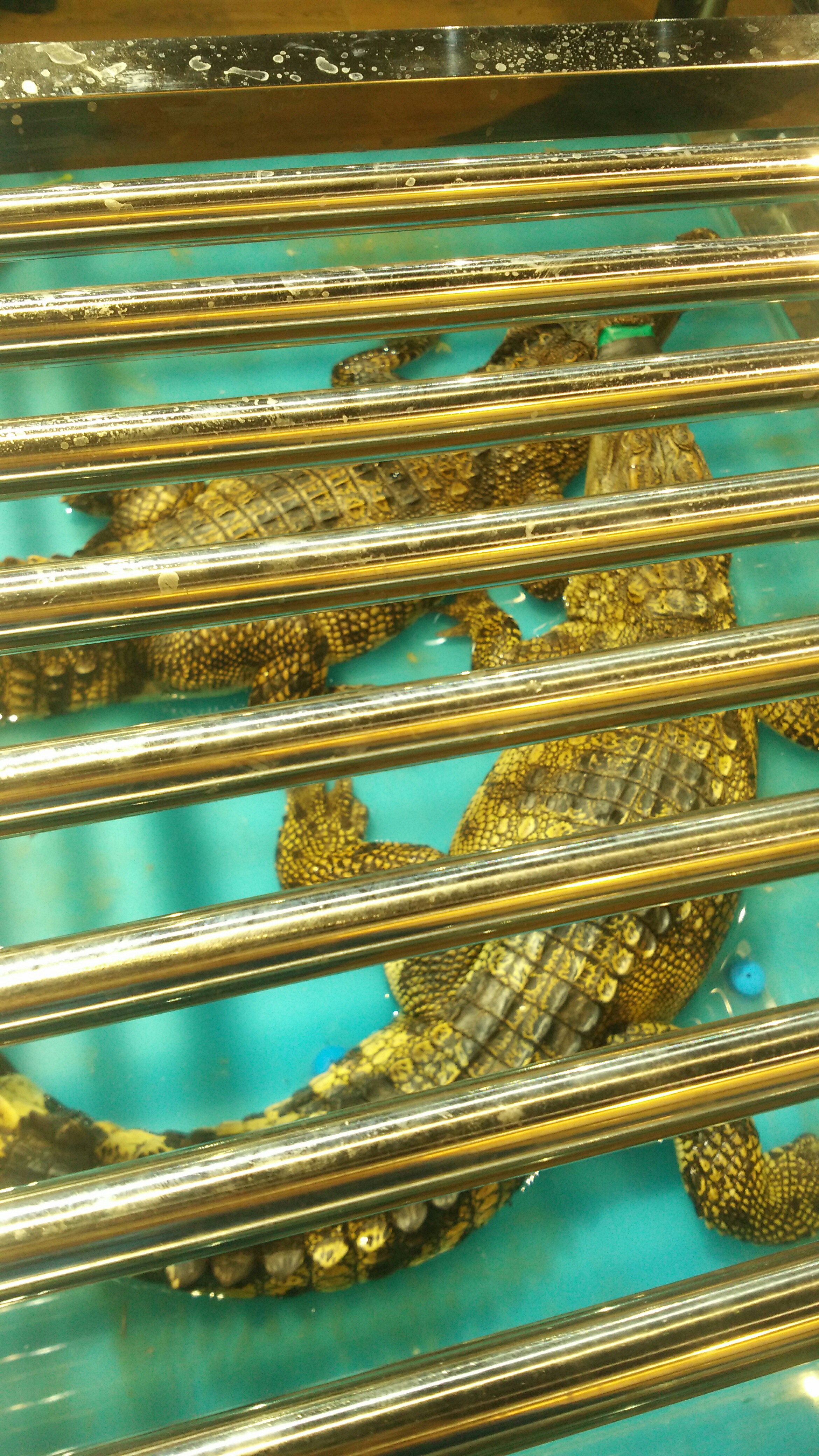 趐'?触磱秌7謐N~T峮?uy?違D>Rw蚔驊u?7n饎D?箸c的简单介绍-lol全球总决赛赛程最新